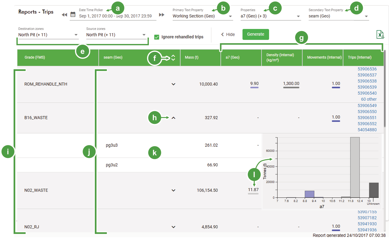 Overview of the Trips report interface.