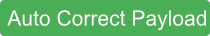 Auto Correct Payload